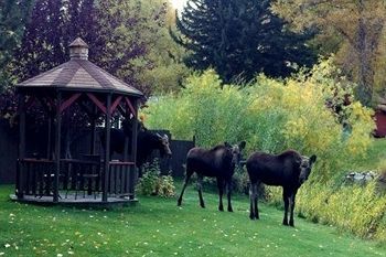 On The Creek Hotel 3*